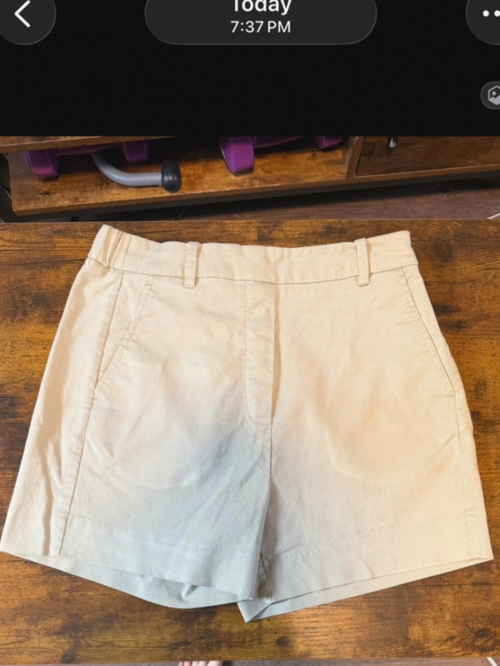 Frank & Oak // The Wide-Leg High Waisted Chino Trouser Shorts in Silver Green